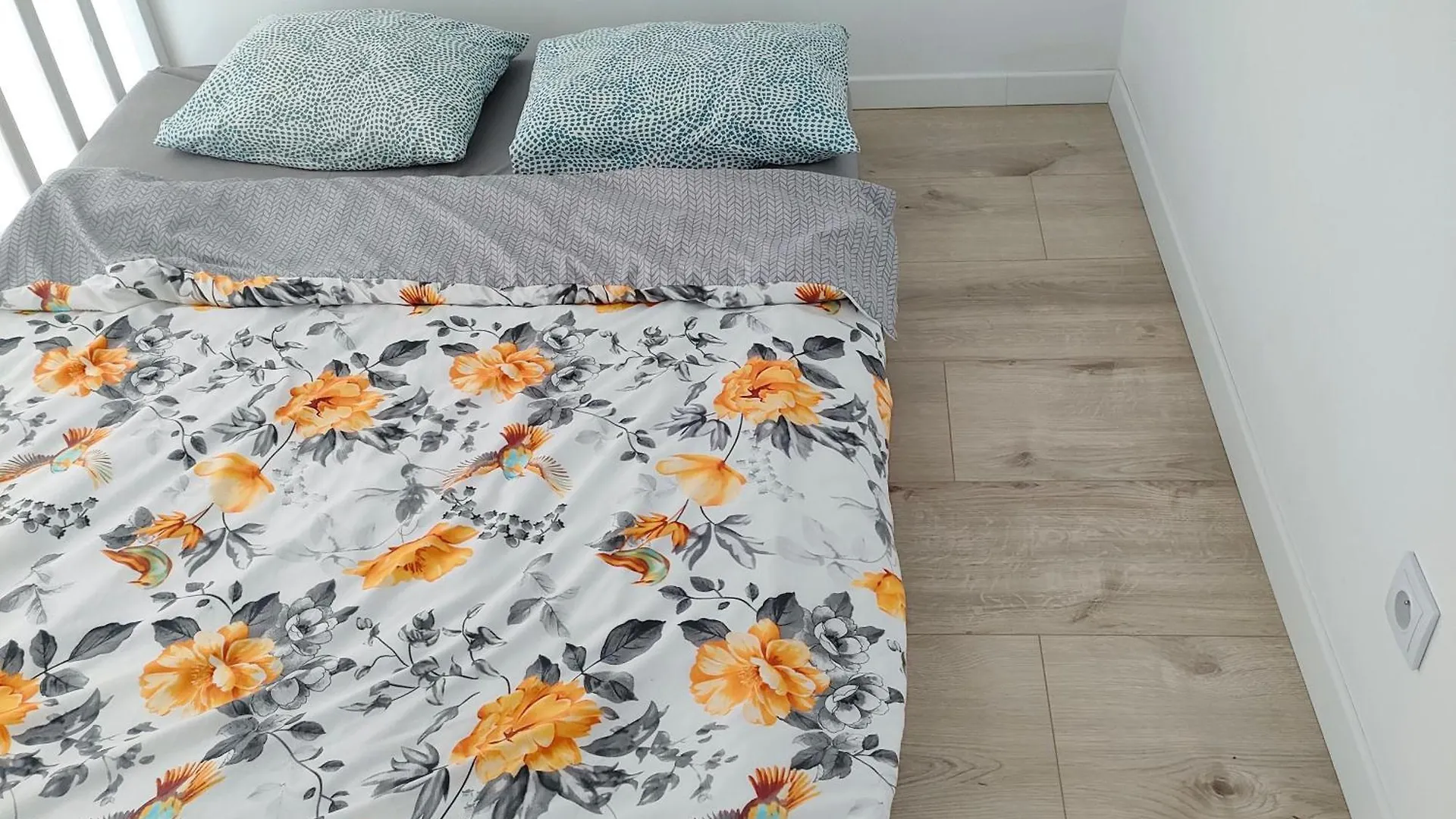Apartament Ceglana kamienica nad Wisłą Kraków